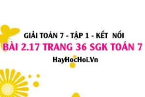 Giải bài 2.17 trang 36 Toán 7 Tập 1 SGK Kết nối tri thức